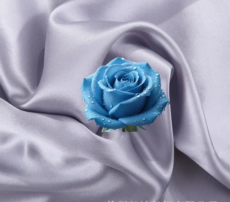 Vòng hai mặt satin giả mạo lụa 97% polyester 3% spandex satin polyester 190gsm áo tối áo phông và khăn trùm