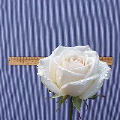 Vải sợi bông bền sợi sợi sợi sợi sợi sợi sợi sợi sợi sợi sợi sợi sợi sợi sợi sợi sợi sợi sợi sợi sợi sợi sợi sợi sợi sợi sợi sợi sợi sợi sợi